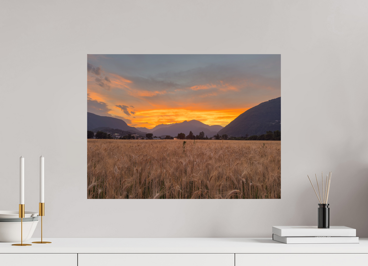 60 x 45 cm, Photo Rag 308 · 105 × 70 cm · Unframed Last Field