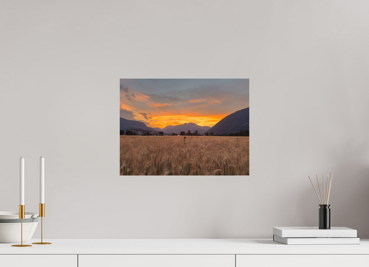 40 x 30 cm, Photo Rag 308 · 105 × 70 cm · Unframed Last Field