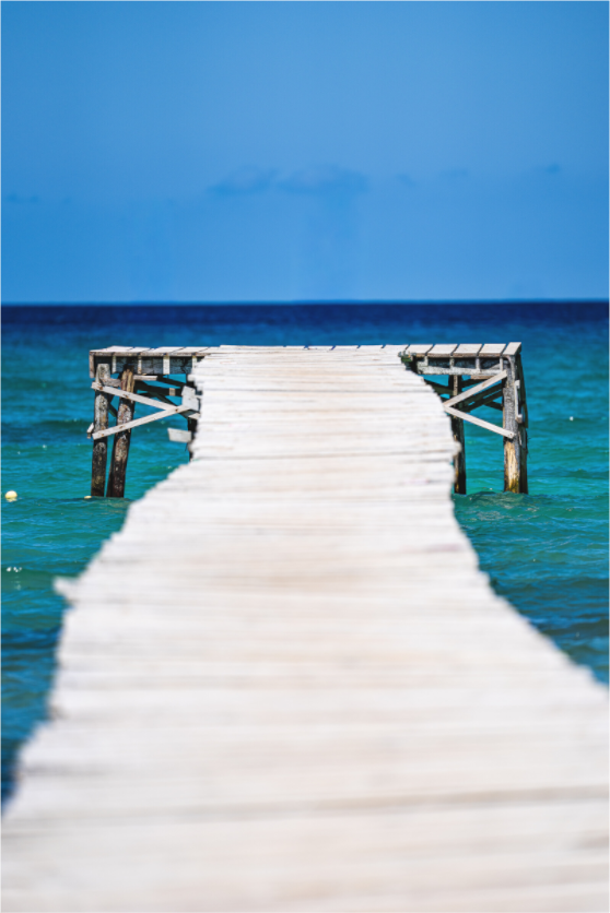 Main image Toward the Blue