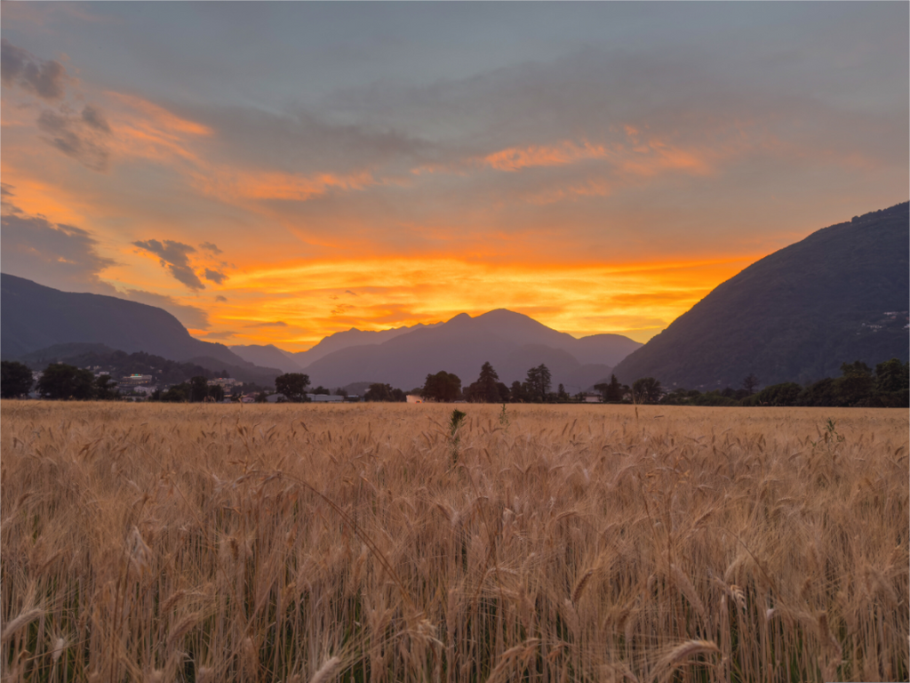 Main image Last Field