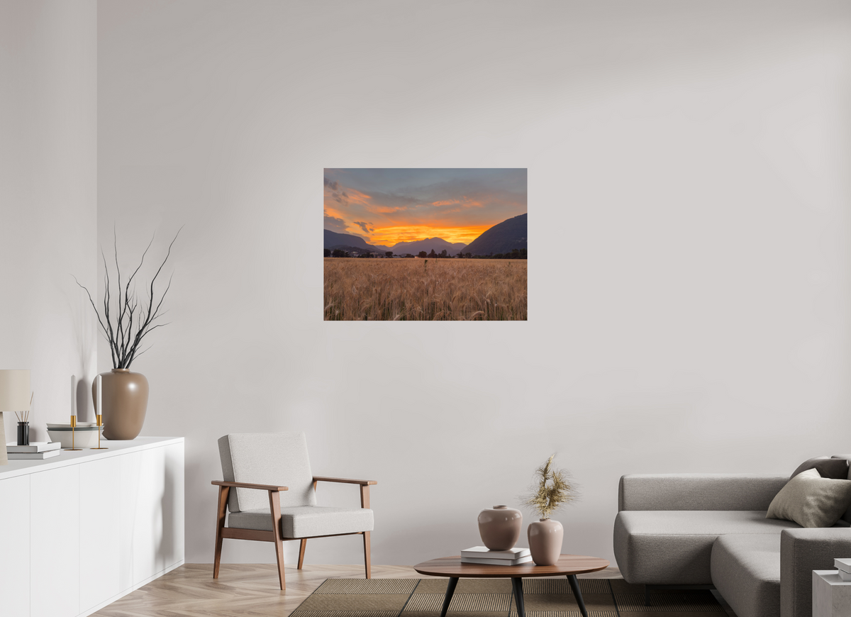100 x 75 cm, Photo Rag 308 · 105 × 70 cm · Unframed Last Field